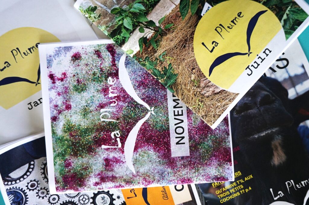 Photos des zines de La Plume